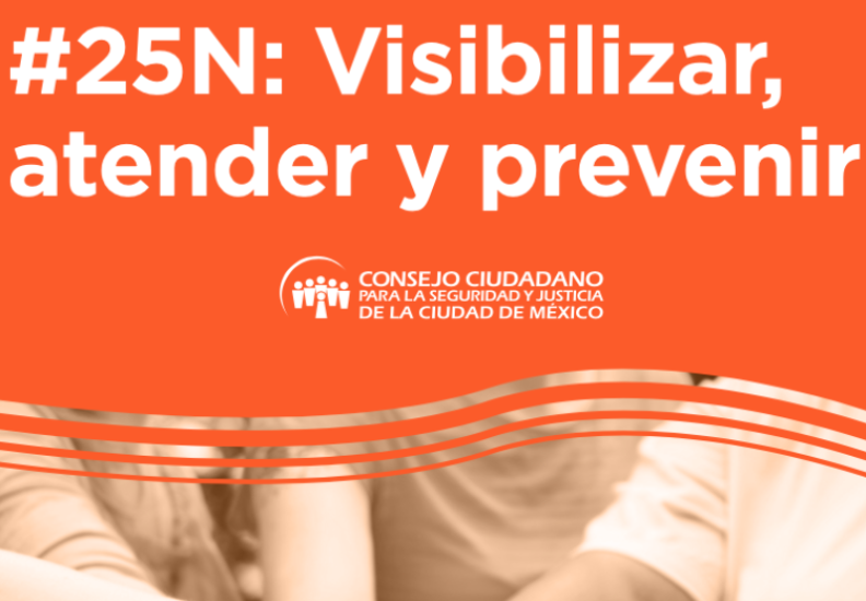 APOYA CONSEJO CIUDADANO A MÁS DE 10 MIL MUJERES ANTE LA VIOLENCIA DE GÉNERO